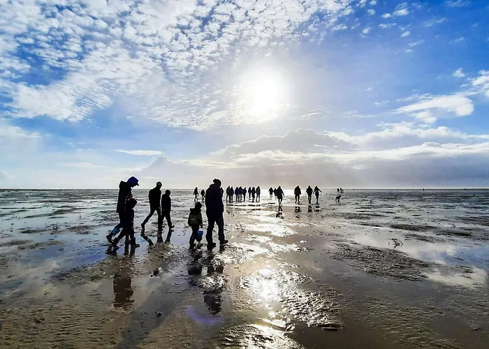 度假居 12 Person In Fano-by Traum